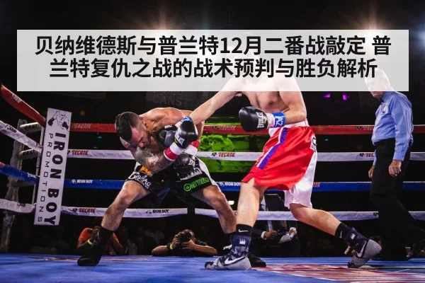 贝纳维德斯与普兰特12月二番战敲定 普兰特复仇之战的战术预判与胜负解析