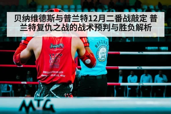 boxing fight ring